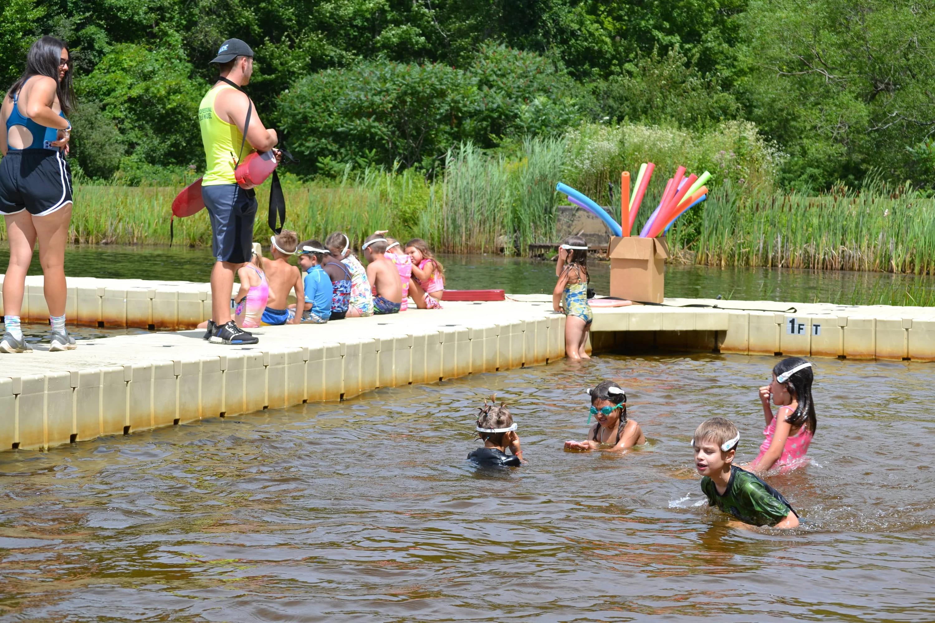 WAVE Portal Dashboard